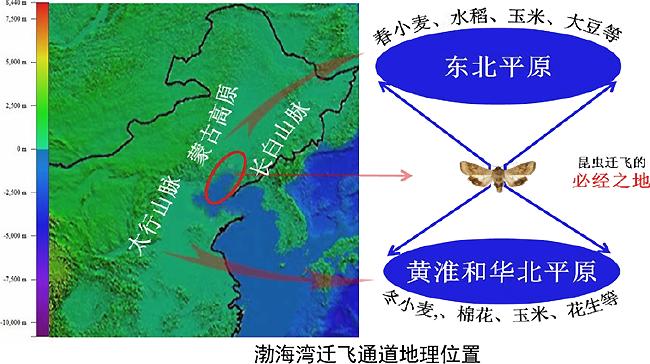 昆虫蛰伏期多长时间,昆虫越冬怎么消灭