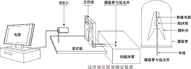 昆虫蛰伏期多长时间,昆虫越冬怎么消灭