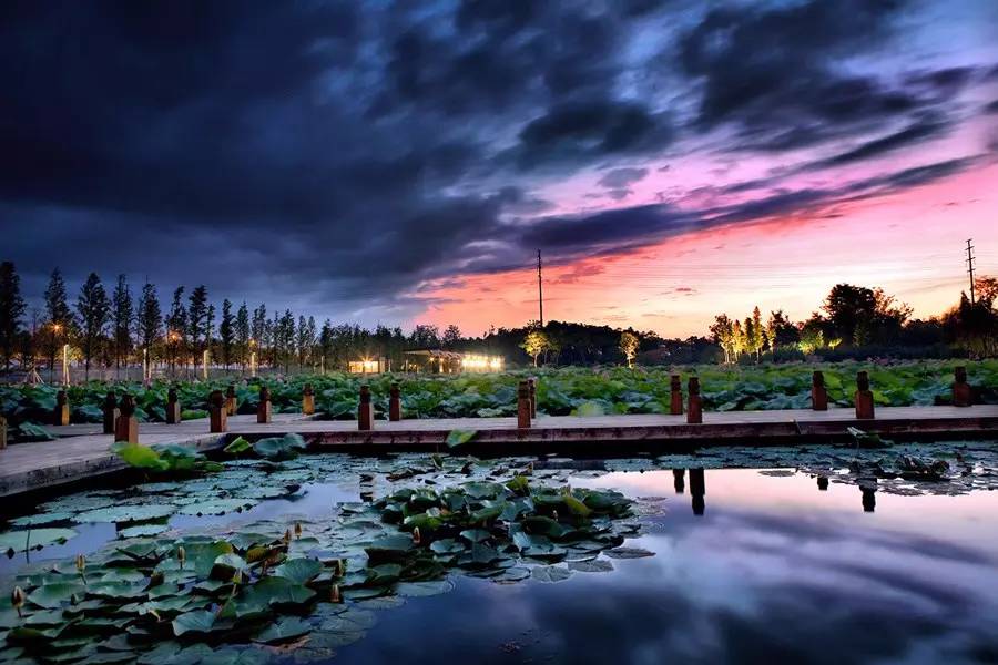 钟楼区附近公园,常州市钟楼区附近公园