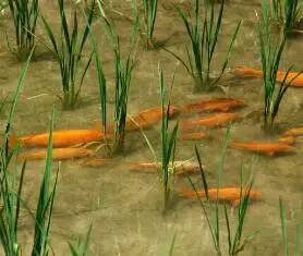 青田侨乡进口商品,青田侨乡进出口商品城