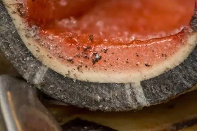 这些稀奇古怪的食物你敢尝试吗,34个奇怪食物