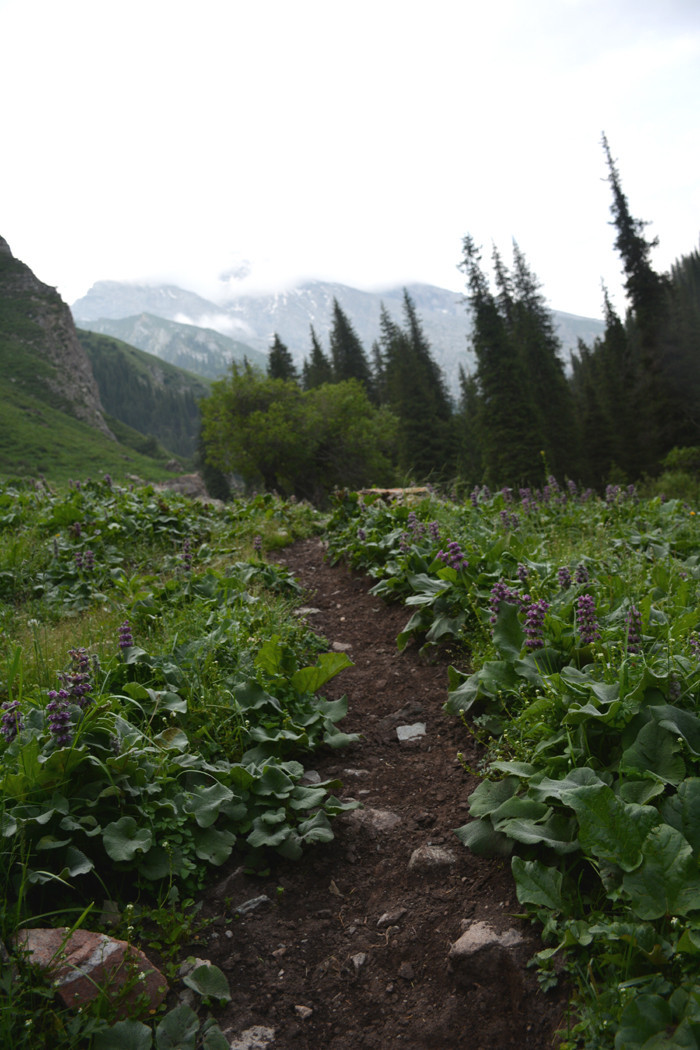 行者无疆-6月乌孙，漂洋过海为圣湖，翻山越岭因初心