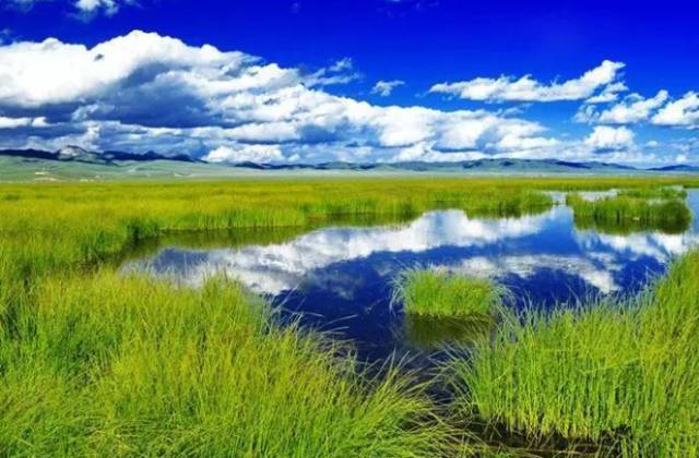 对不起，我去草原了，别再找我了……