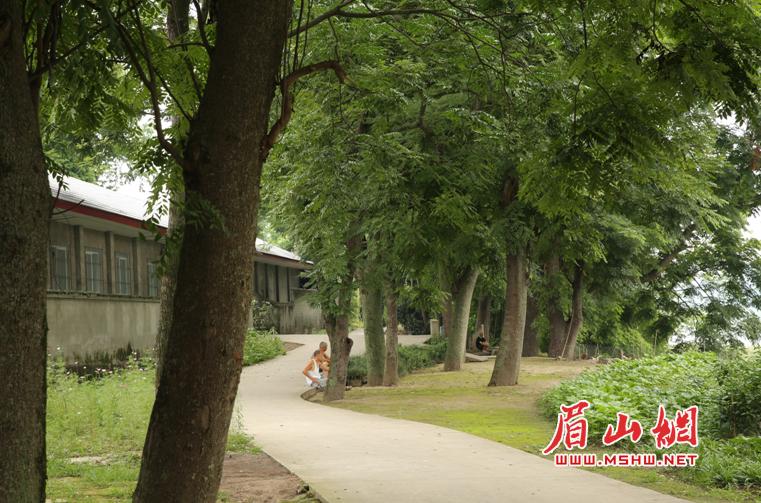 青神汉阳:记得住乡愁的村落影像