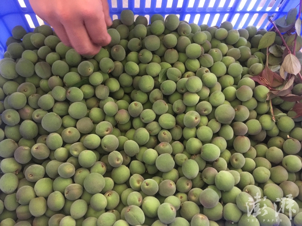 翼虎·山河·寻路胡焕庸线上的中国|玉龙县:电商上下求索