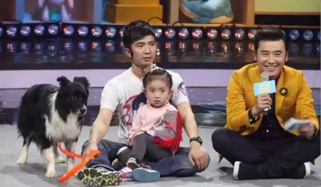 遇到讨厌狗狗的邻居怎么办,如何对付讨厌狗狗的人