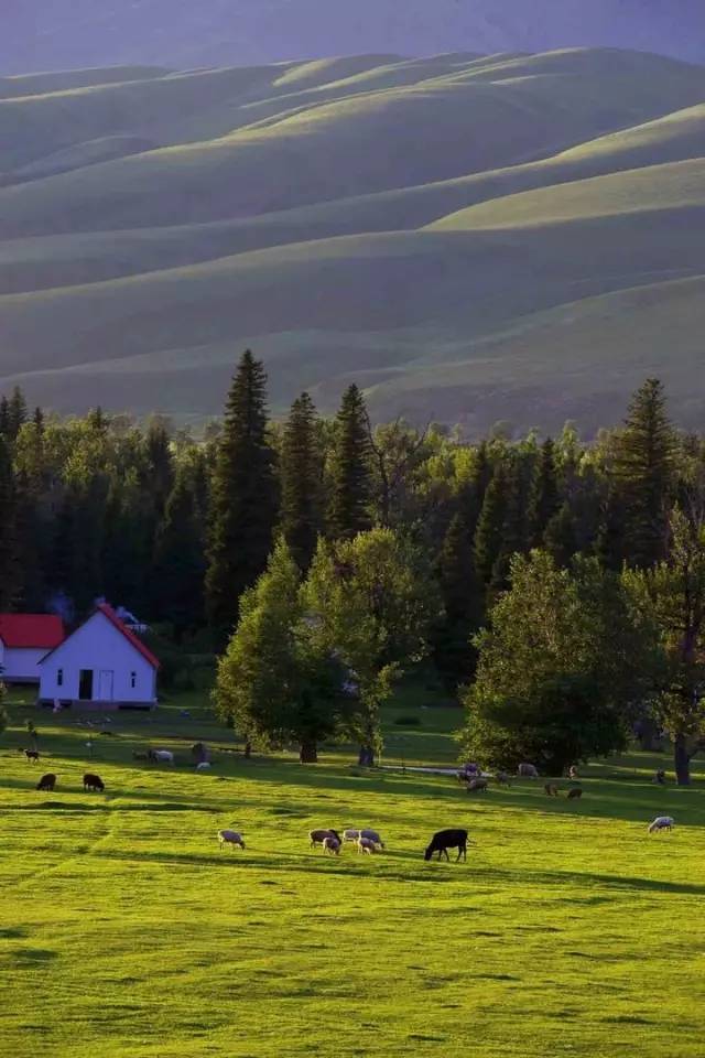 对不起，我去草原了，别再找我了……