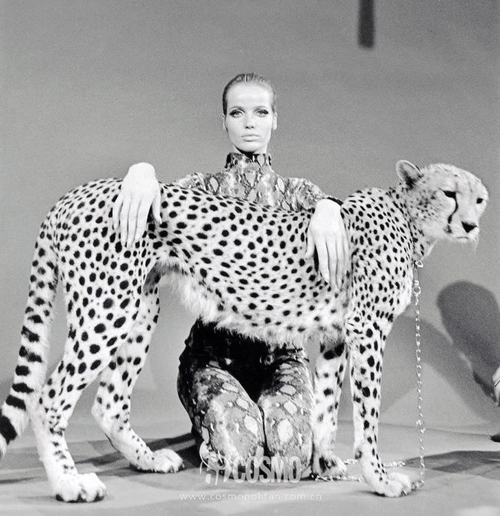 omg顶级沙滩超模,omg女明星有多美