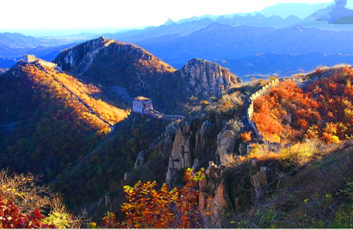 秦皇岛适合带狗去的地方,北戴河的民宿带狗的可以去吗