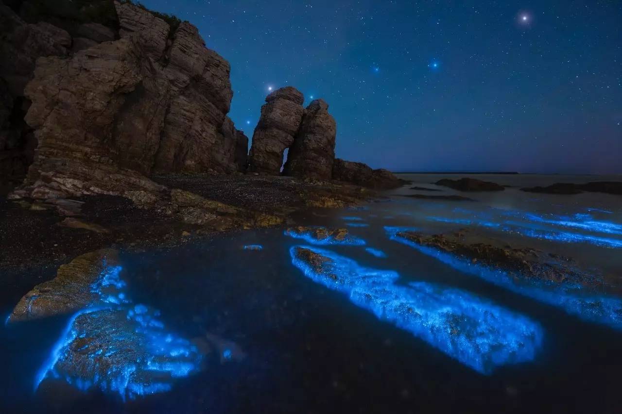 中国荧光海最佳观赏时间和地点,厦门蓝色荧光海是真实的吗