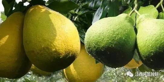 走遍江西的每一个地市,走遍江西100县