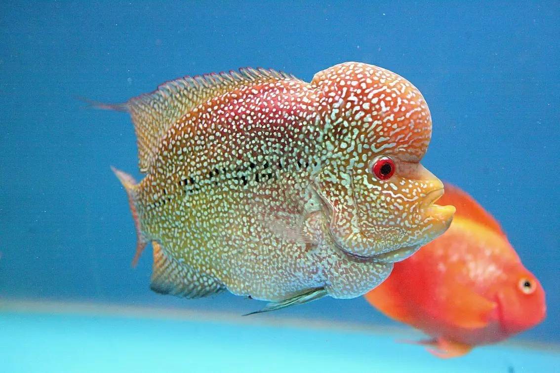 手把手教你如何正确消毒,用什么消毒对冠状病毒有效