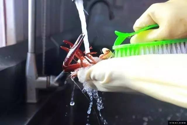 小龙虾跟火锅,火锅和小龙虾选哪个