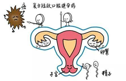 短效口服避孕药副作用最小的牌子,短效口服避孕药在哪里买