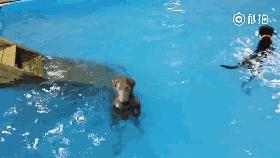 广州有哪些玄学,广州有没有玄学