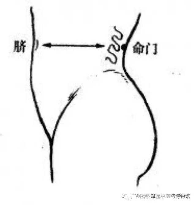 女性适合的艾灸穴位,夏秋之交灸关元时间表