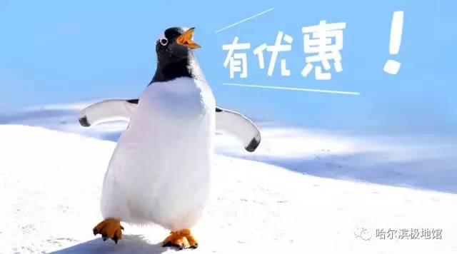 小孩去极地馆要钱吗,孩子第一次去极地馆