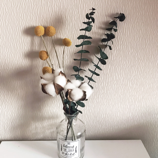 提升生活幸福感立竿见影的东西,1000块以内可以提升幸福感的东西