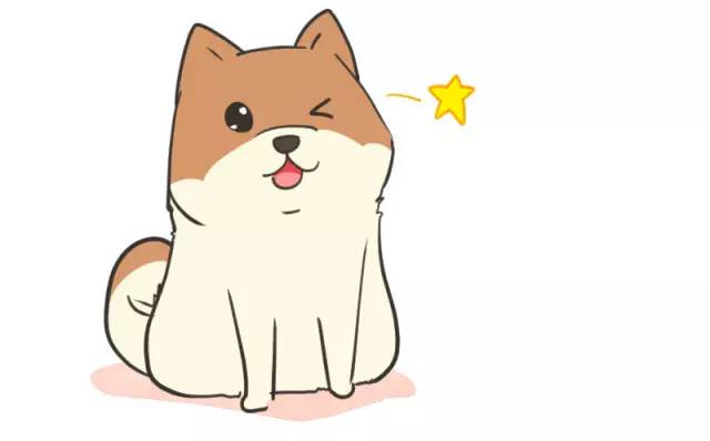 我家博美犬长得怎么样,博美犬8岁是老狗吗