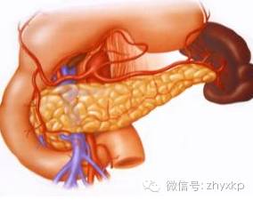 胰腺炎急性慢性区别,中医治疗急性胰腺炎