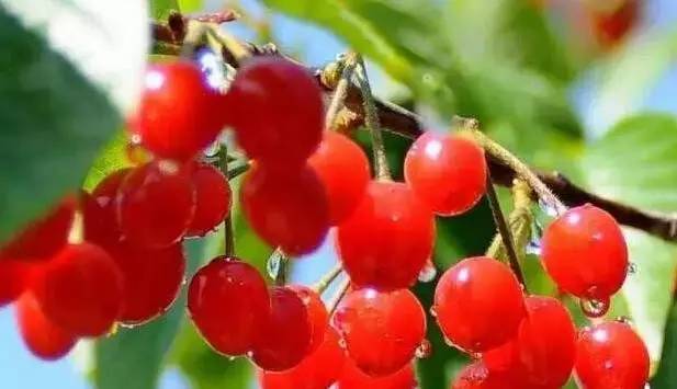 青岛好消息资讯,青岛最新封闭消息