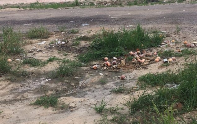 啄木鸟行动消灭错别字,朝阳市建平县啄木鸟行动