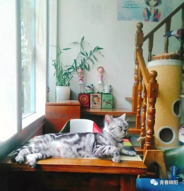 绵阳自拍网红店,绵阳网红店哪家最火