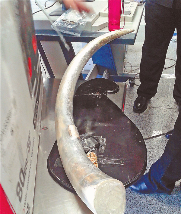 携带象牙入境,中国海关携带动物入境