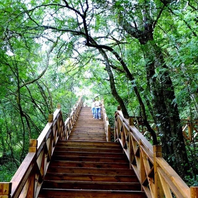 东风韵和可邑小镇哪个好玩,可邑民族文化生态旅游村