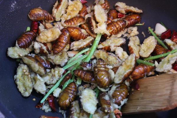 干煸蚕蛹的教程视频,干煸蚕蛹老东北