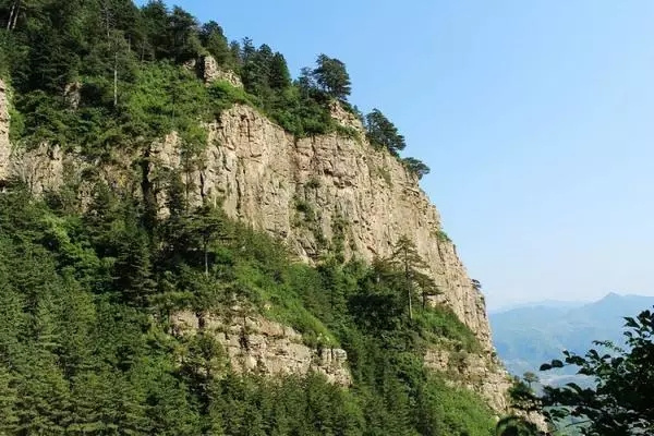 樂吧天下大同每周六发团