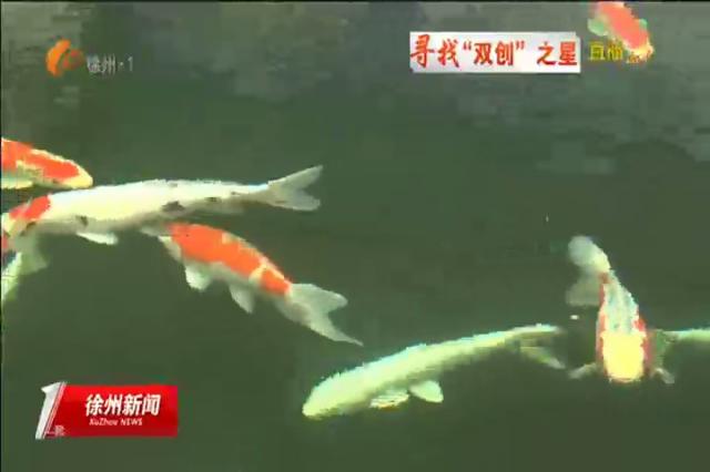 刘电：把小锦鲤做成大产业