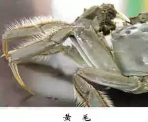 原创｜烟台一年最嗨的日子来了！即将开海，这些图却火了