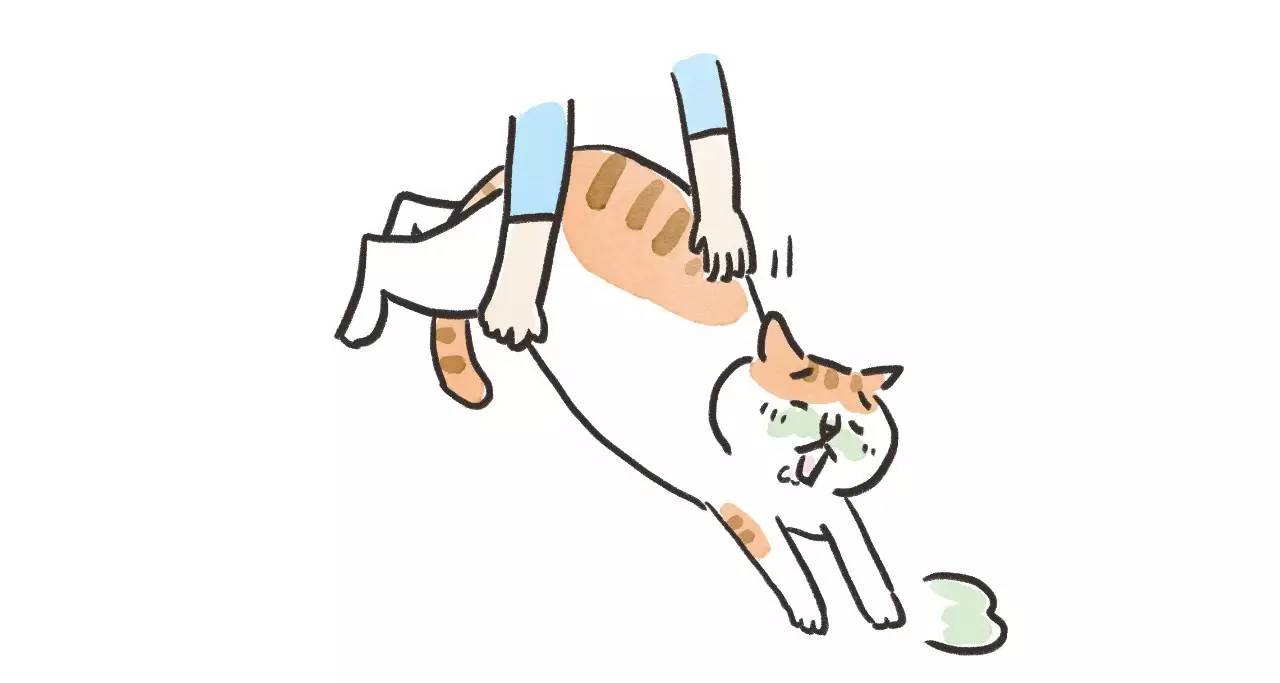 救命啊!主子溺水、触电、中毒了怎么办?!丨强档