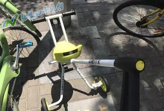 张家口新闻联播回放10月21号,张家口新闻台