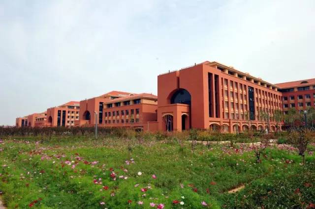 青岛有多好拍,青岛到底有哪些风景