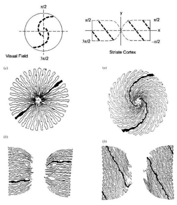 光幻视是什么意思,光幻视有危害吗