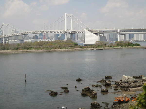 日本7天自由行跟团,日本7天自由行大约需要多少钱