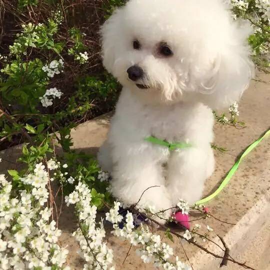 刷朋友圈其实就跟刷视频一样,刷朋友圈有意思吗