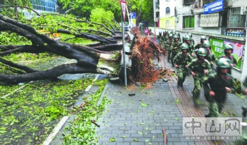 台风天鸽肆虐珠海,台风天鸽肆虐下的广东