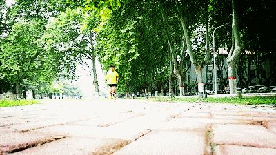 压缩腿套,压缩腿套会不会瘦腿啊