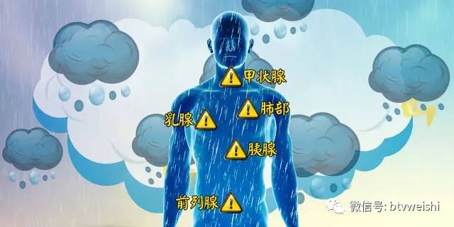 养生堂视频祛痰湿,北京卫视养生堂祛痰湿方子视频