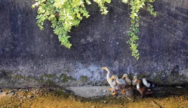 宁波北仑最好的地方,北仑有意思的地方