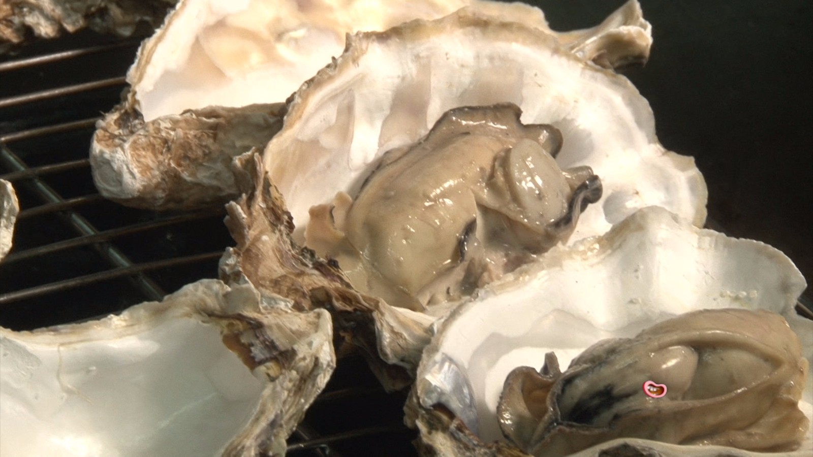 深圳太兴港式餐厅,老字号深圳茶餐厅