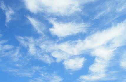 多云为主，还有雨+雾……｜怀疑丈夫婚内出轨，妻子当场拦车被丈夫碾轧致死！