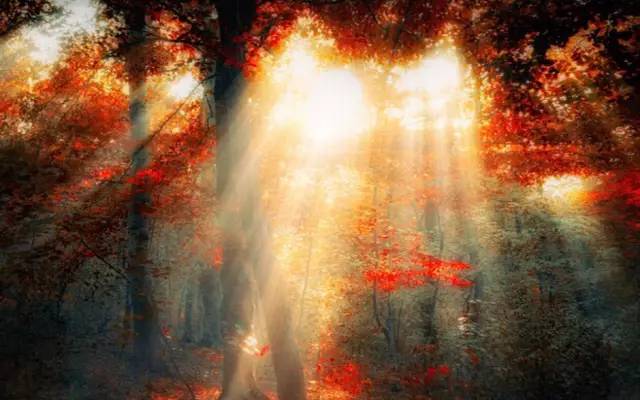 沈阳最美赏枫地最新开放,沈阳附近赏枫