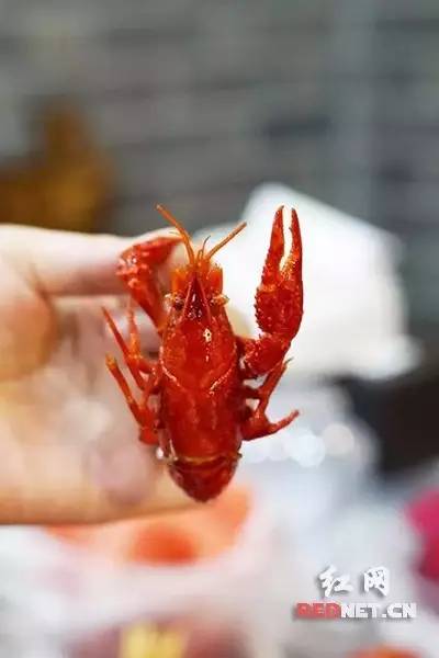长沙吃虾网红店在哪里,长沙河西哪家油爆虾最好吃