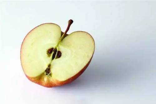 茄子千万不能这样吃，后果严重，相当于在服毒！