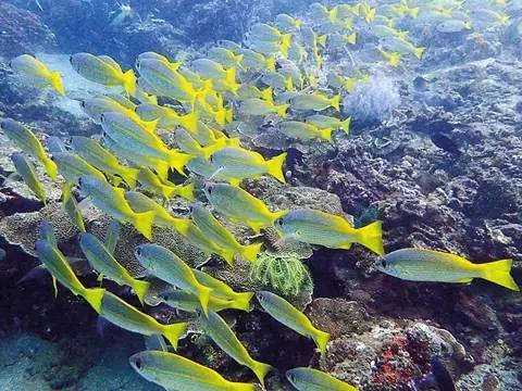 有意思｜跟好心情私奔，有些道理在岸上知不道