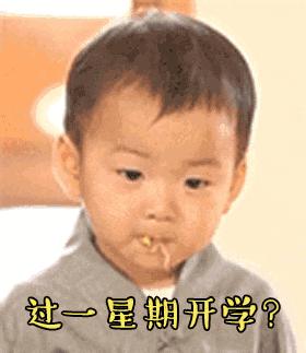 到底什么是股票？来自小狗钱钱丨跳跳讲故事